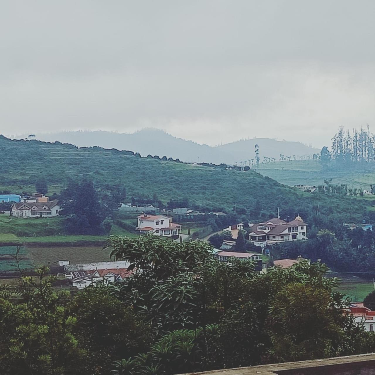 Albisville Hilltop Mansion Ооти Екстериор снимка